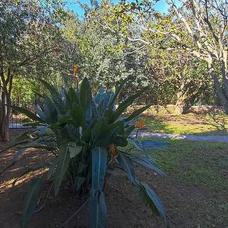 Quai 4 Posti Letto Vicino Al Centro